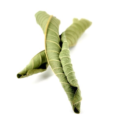 Bayabas (Guava Leaves) Herbalaria