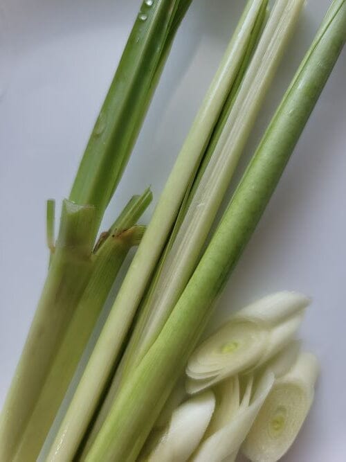 All About Lemongrass