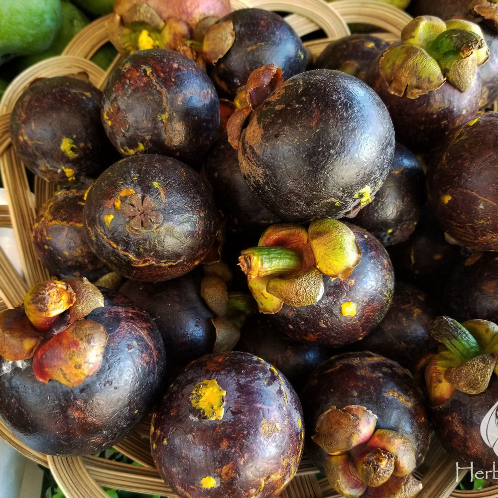 Benefits of Mangosteen