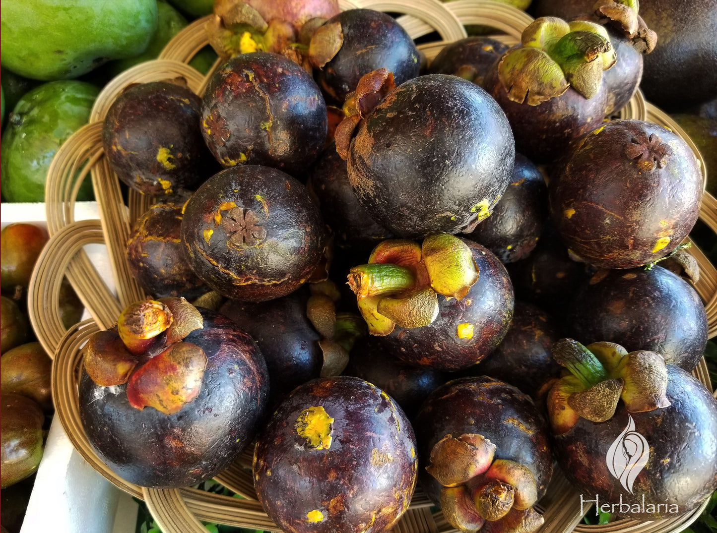 Benefits of Mangosteen