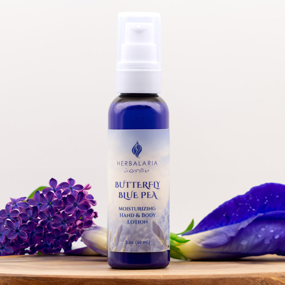 Butterfly Blue Pea