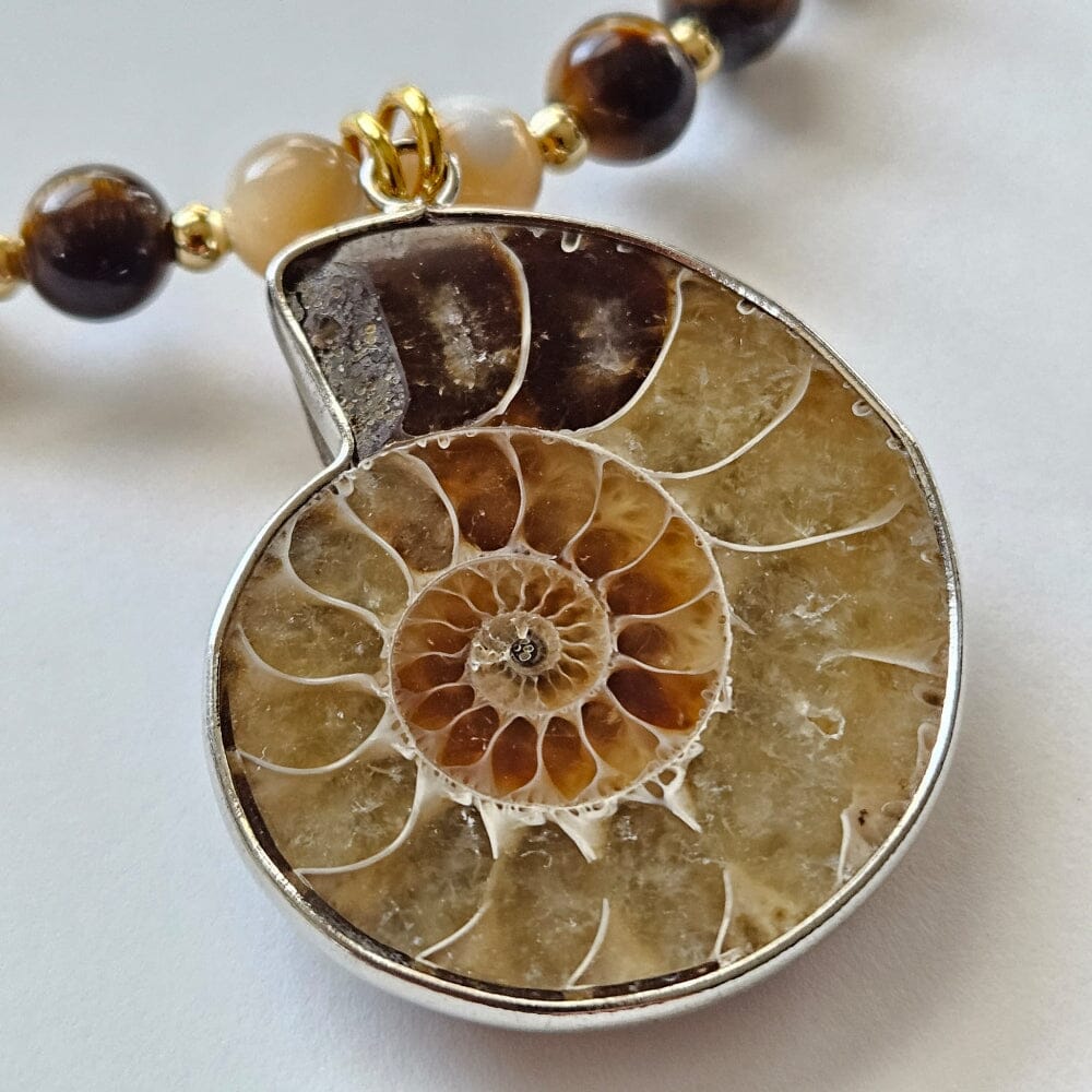 
                  
                    Close up detail of ammonite fossil pendant
                  
                