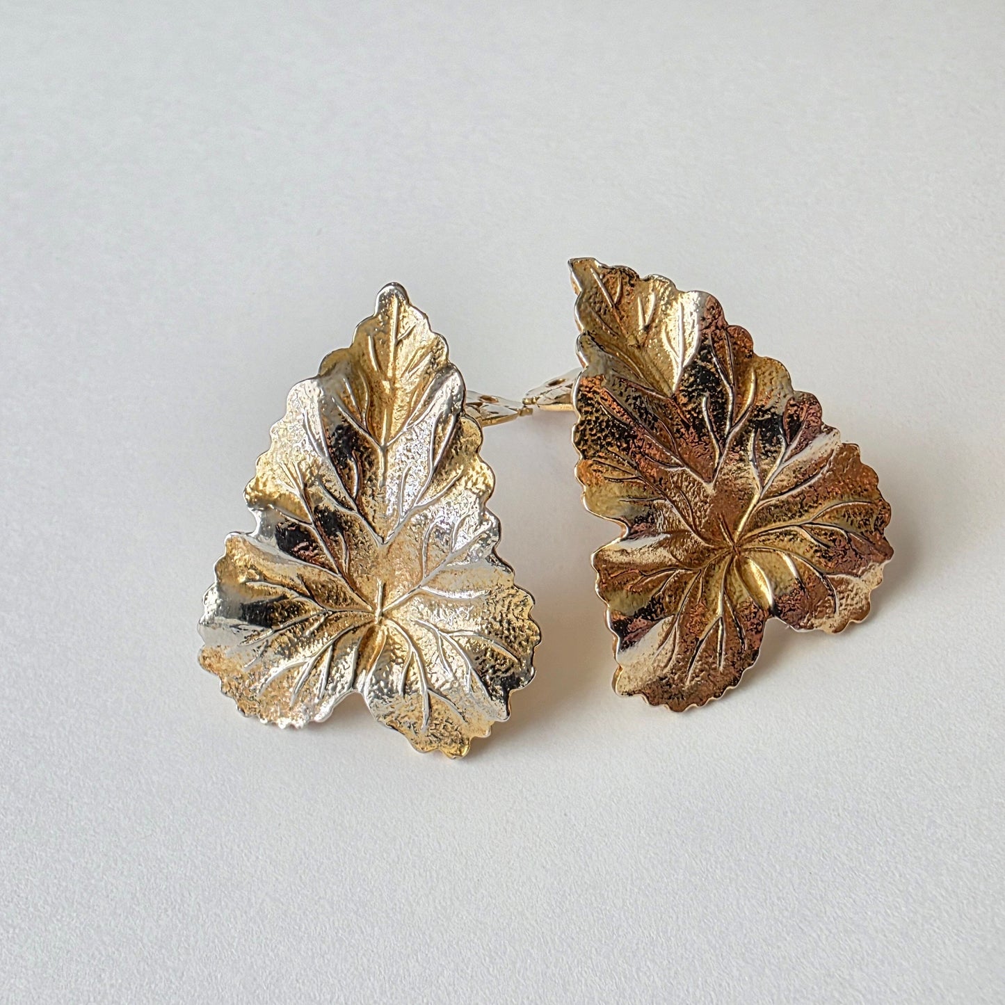 Begonia Two-Tone Leaf Accessories Herbalaria LLC 