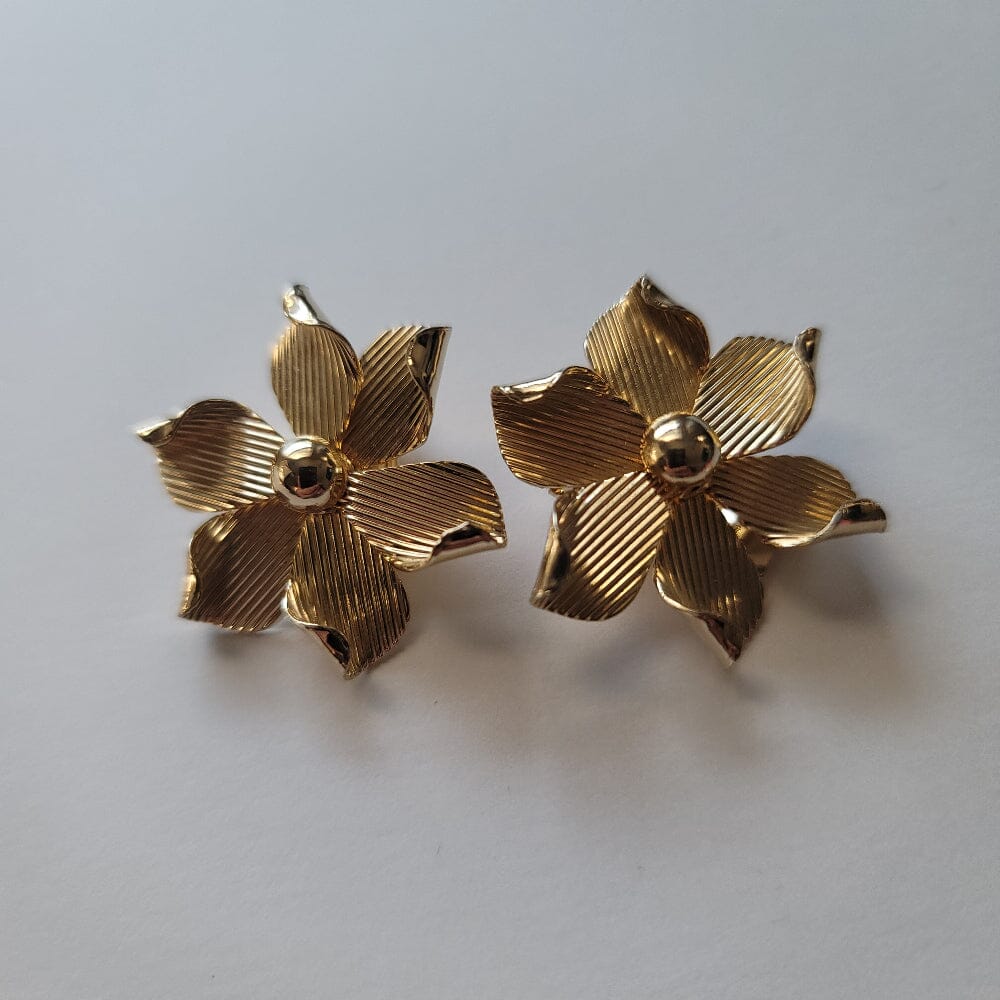 
                  
                    Golden Blossoms Accessories Herbalaria LLC 
                  
                
