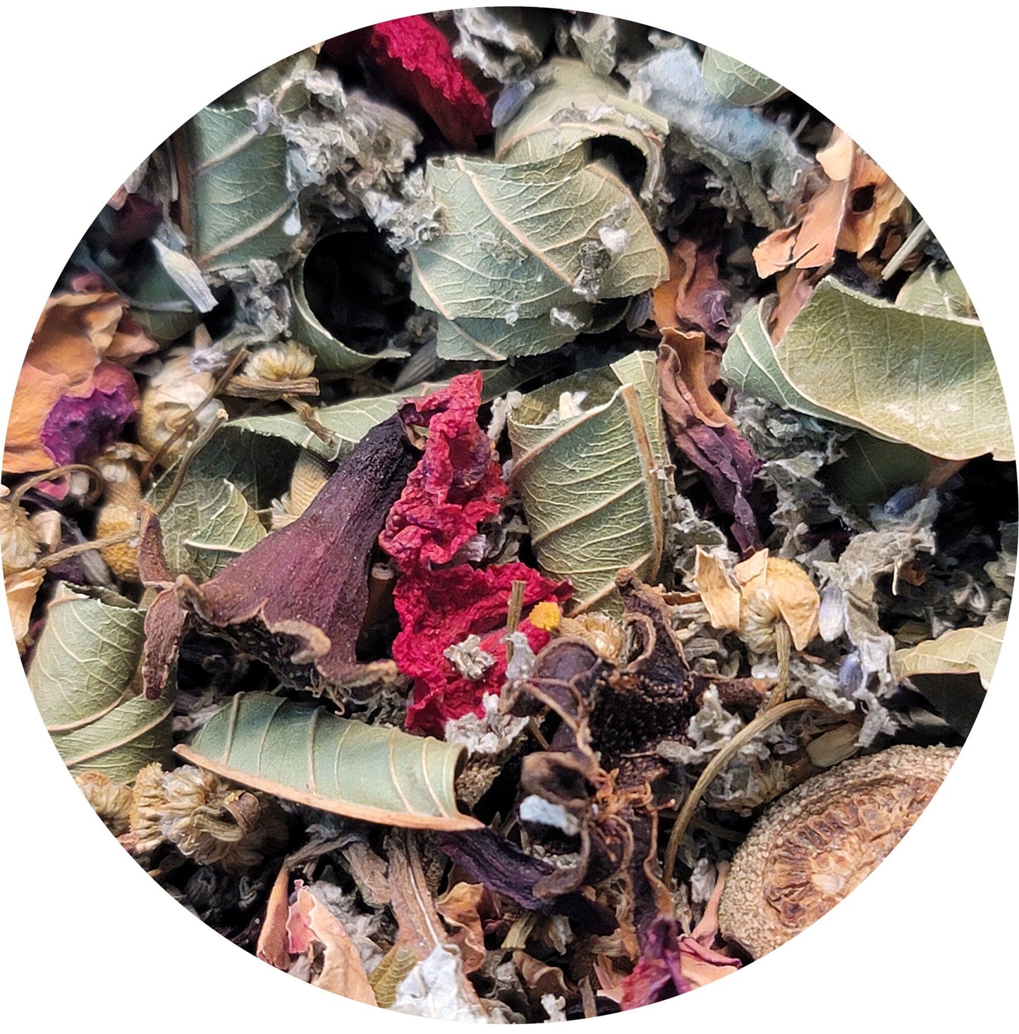 Halaman Blend Albularyo Herbal Formulation for Tea, Steam, and Bath Herbalaria LLC 