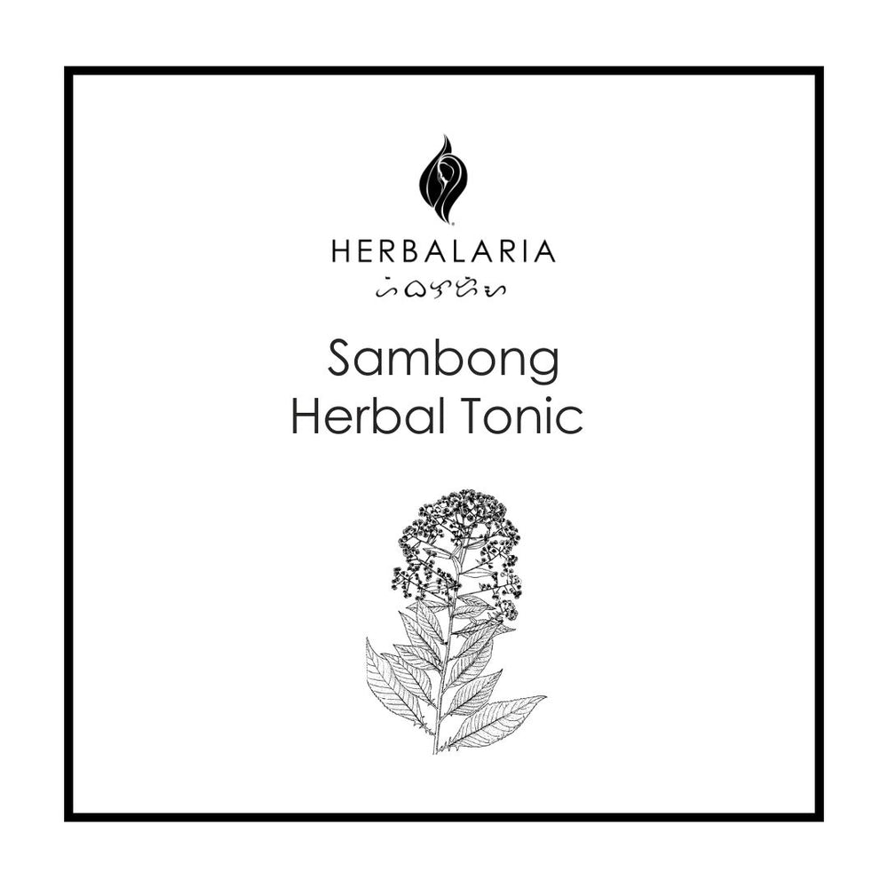 Herbal Tonics Herbalaria Sambong 