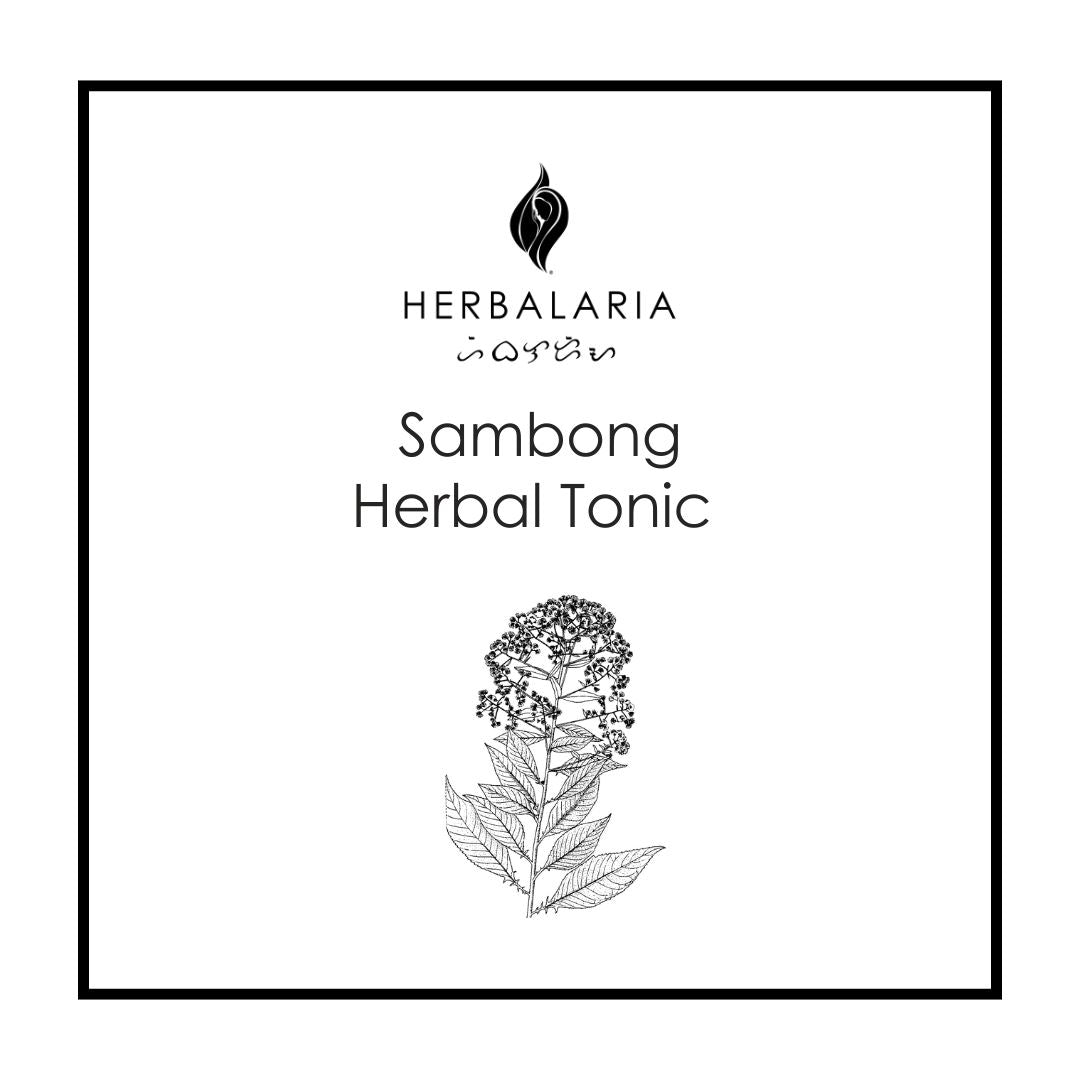 Herbal Tonics Herbalaria Sambong 