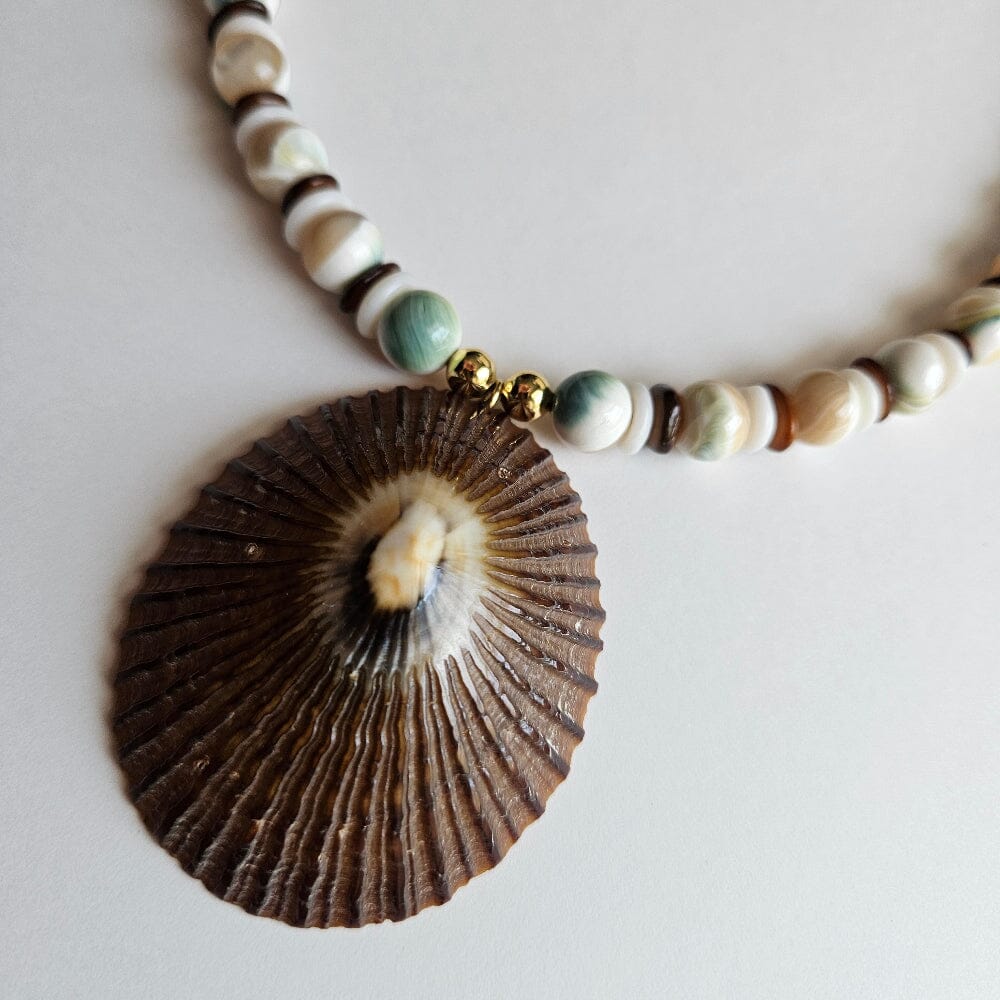Opihi and Puka Shell Accessories Herbalaria LLC 