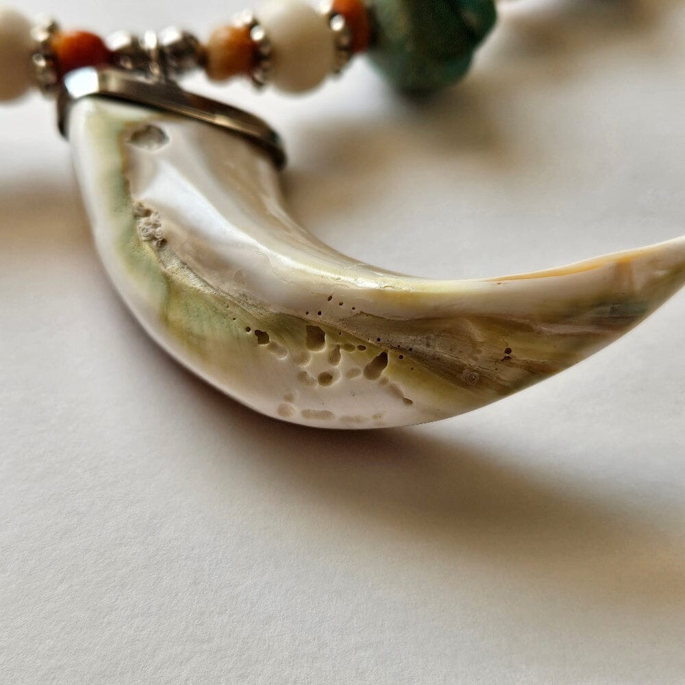 Turbo Shell and Turquoise Accessories Herbalaria LLC 