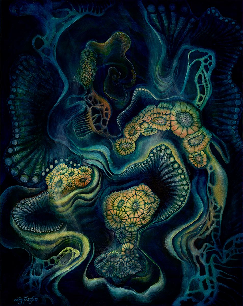 Coral Dive Herbalaria 