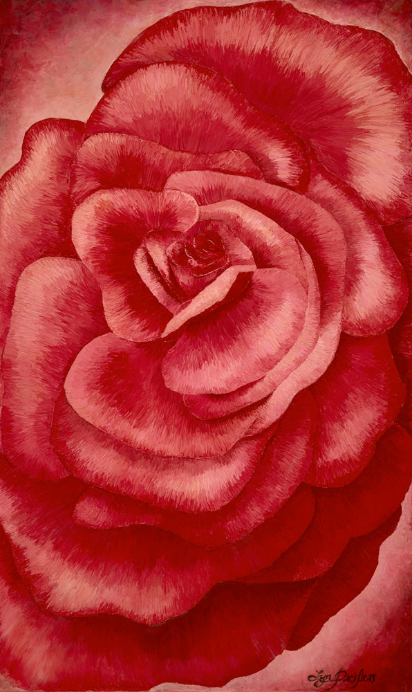 Garden Rose Herbalaria 