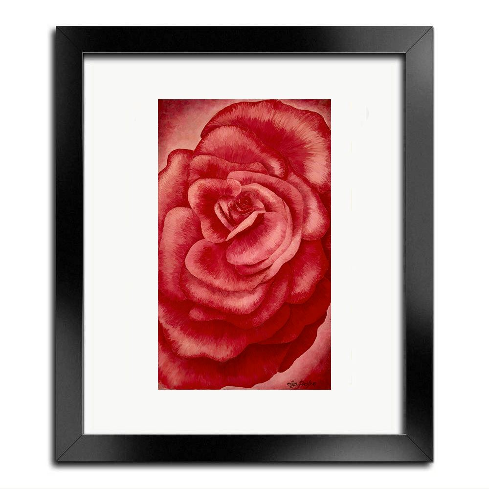 
                  
                    Garden Rose Herbalaria 
                  
                