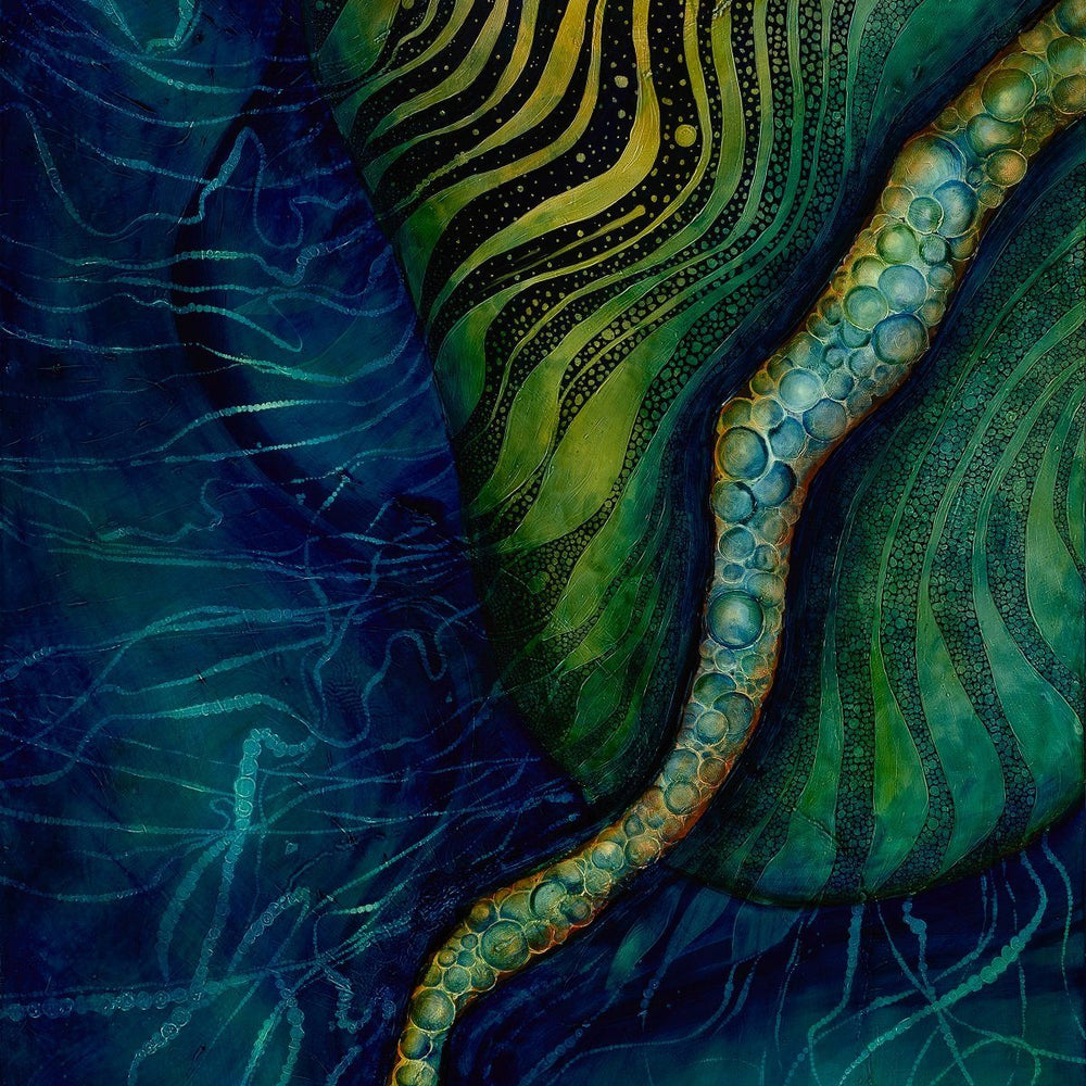 Manta Herbalaria 