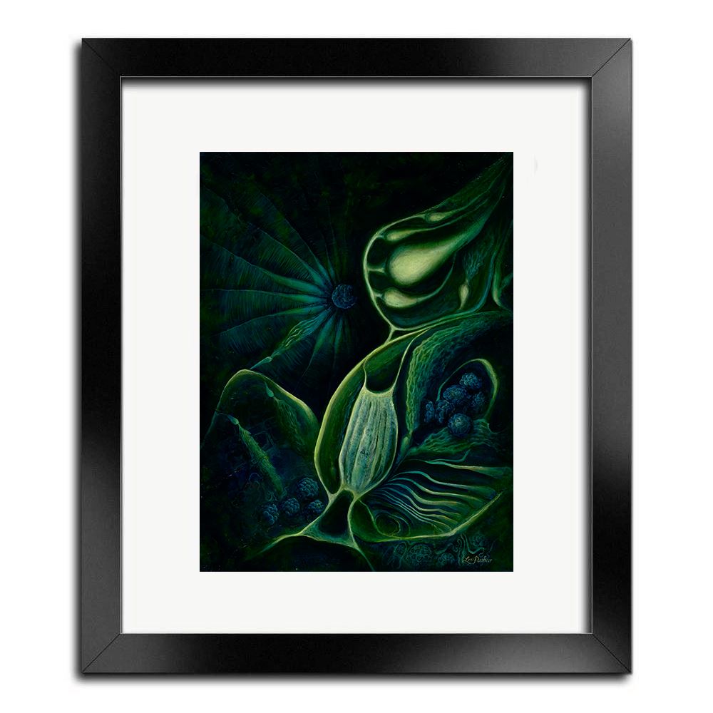 
                  
                    Ocean Mother Herbalaria 
                  
                