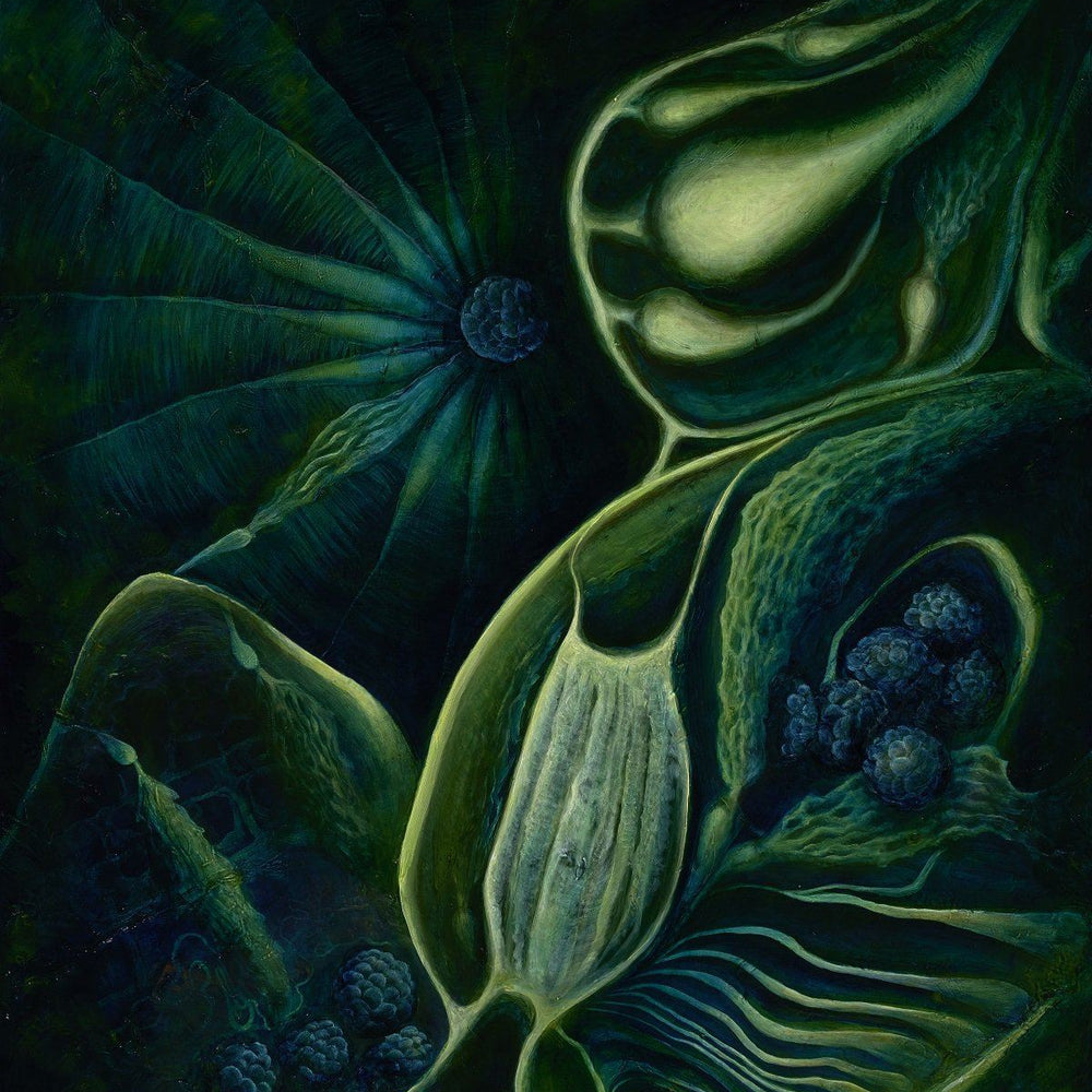 
                  
                    Ocean Mother Herbalaria 
                  
                