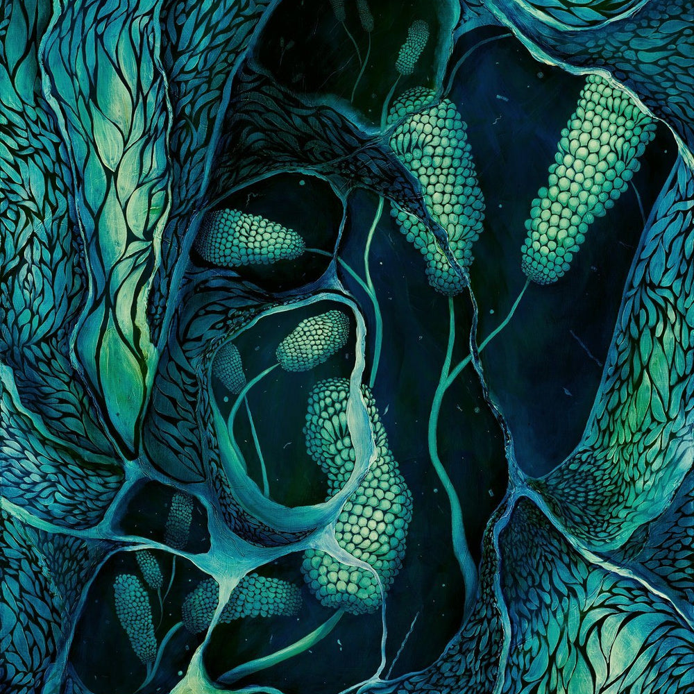 Underwater Revelation Herbalaria 