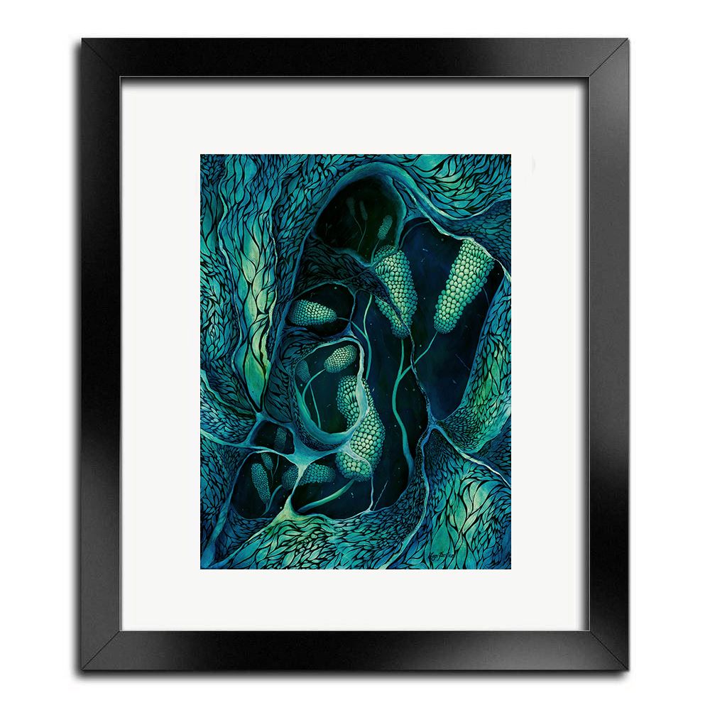 Underwater Revelation Herbalaria 